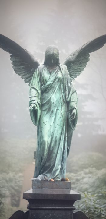 Обои 1440x2960 статуя, кладбище, ангел