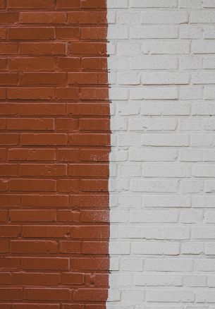 brick wall, wall, background Wallpaper 1640x2360