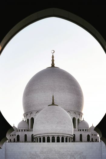 mosque, dome, temple Wallpaper 640x960