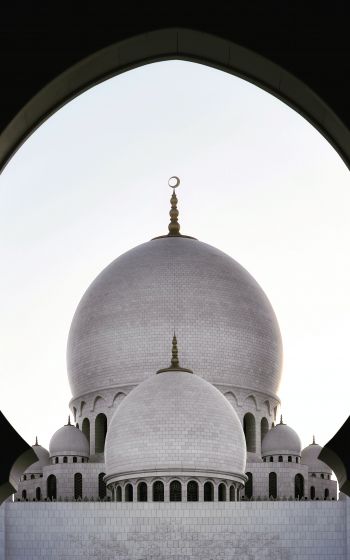 mosque, dome, temple Wallpaper 800x1280