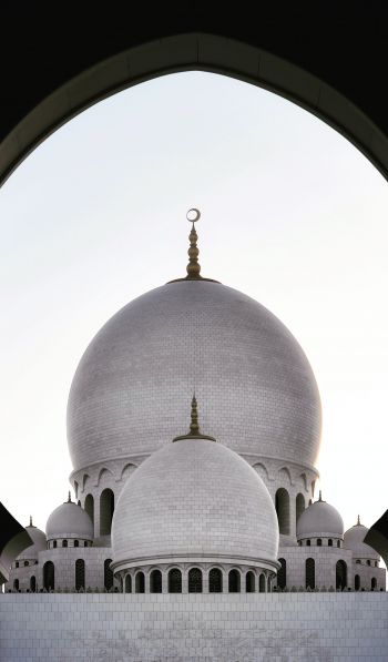 mosque, dome, temple Wallpaper 600x1024