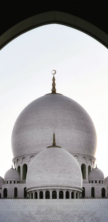 Обои 1440x2960 мечеть, купол, храм