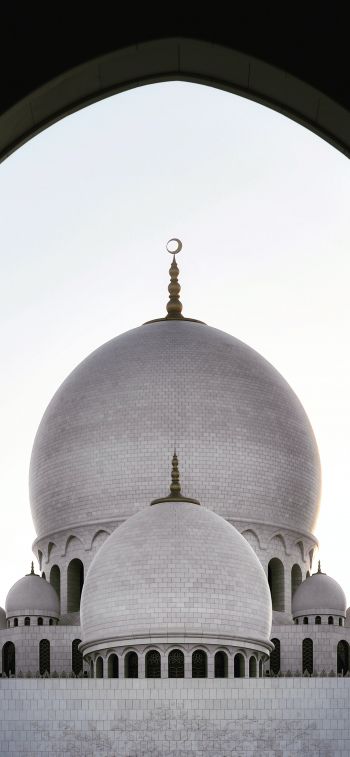 mosque, dome, temple Wallpaper 1242x2688