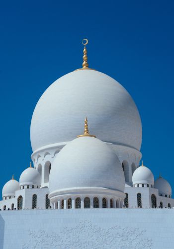 mosque, dome, temple Wallpaper 1668x2388