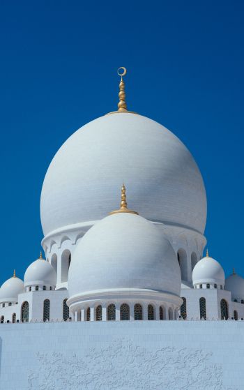 Обои 1752x2800 мечеть, купола, храм