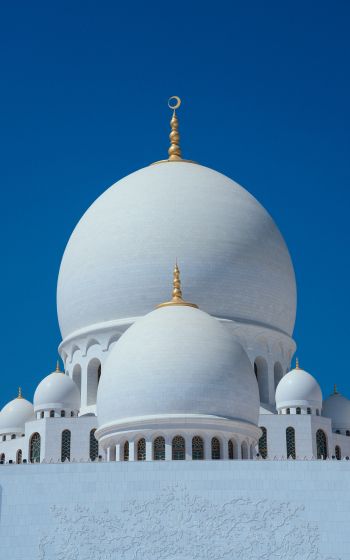 Обои 1600x2560 мечеть, купола, храм