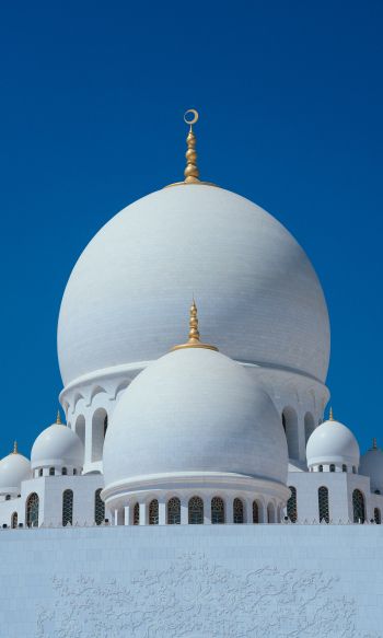 Обои 1200x2000 мечеть, купола, храм