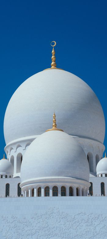 Обои 1080x2400 мечеть, купола, храм