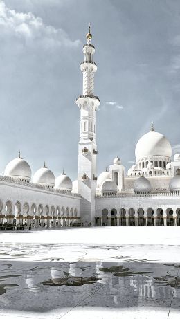 mosque, white, Abu Dhabi Wallpaper 640x1136