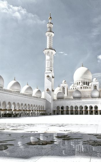 mosque, white, Abu Dhabi Wallpaper 1600x2560