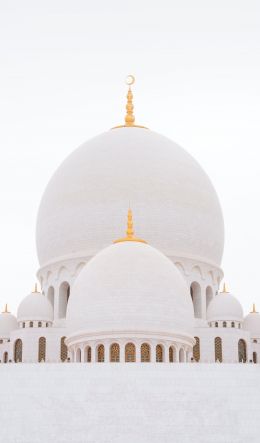 mosque, white, dome Wallpaper 600x1024