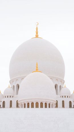 Обои 750x1334 мечеть, белый, купола