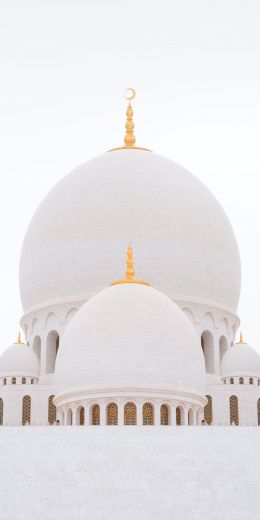 Обои 720x1440 мечеть, белый, купола