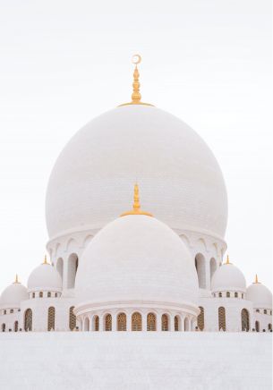 Обои 1668x2388 мечеть, белый, купола