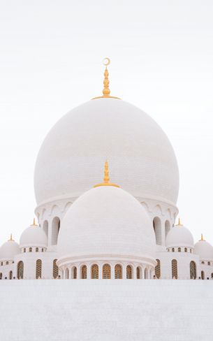 mosque, white, dome Wallpaper 1200x1920