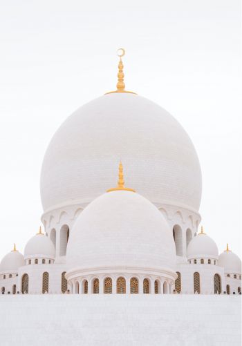 Обои 1668x2388 мечеть, белый, купола