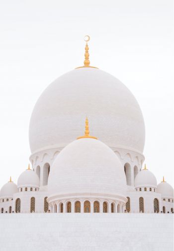 mosque, white, dome Wallpaper 1640x2360