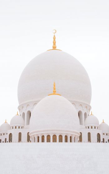 mosque, white, dome Wallpaper 1752x2800
