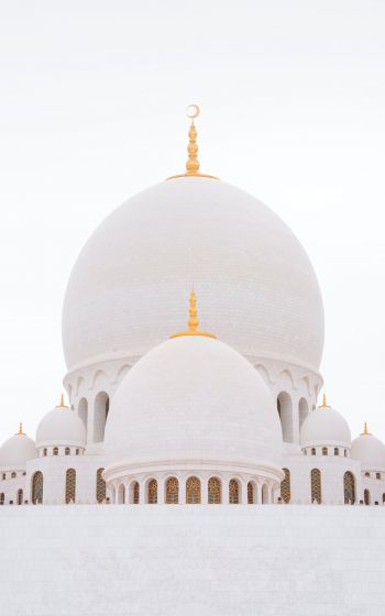 Обои 1200x1920 мечеть, белый, купола