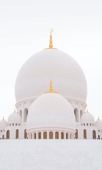 mosque, white, dome Wallpaper 1200x2000