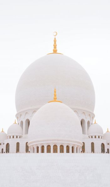 Обои 600x1024 мечеть, белый, купола