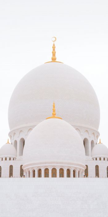 mosque, white, dome Wallpaper 720x1440