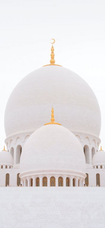mosque, white, dome Wallpaper 828x1792