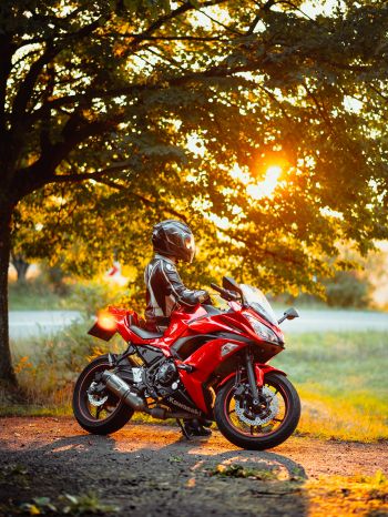 biker, sunlight Wallpaper 1620x2160