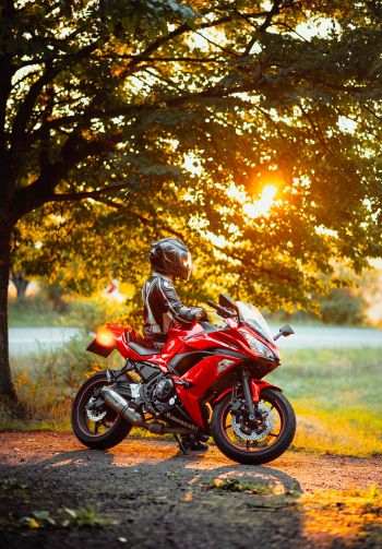 biker, sunlight Wallpaper 1640x2360