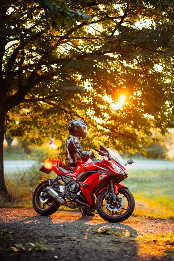 biker, sunlight Wallpaper 640x960