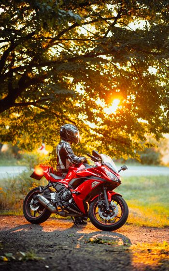 biker, sunlight Wallpaper 1600x2560