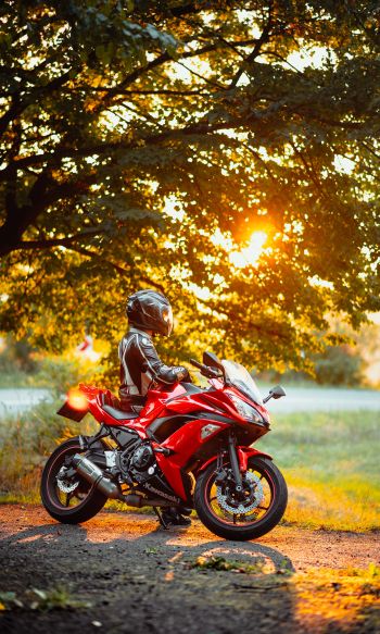 biker, sunlight Wallpaper 1200x2000