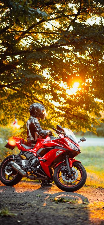 biker, sunlight Wallpaper 1284x2778