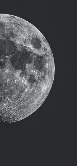 Обои 1284x2778 луна, спутник, черное и белое