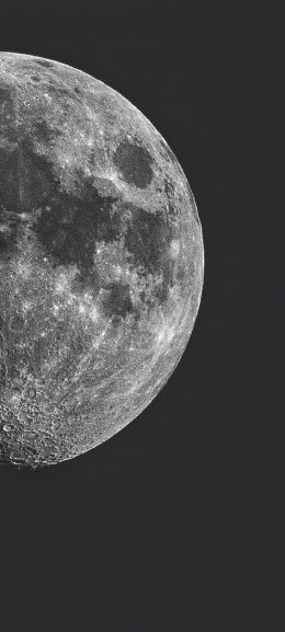 moon, satellite, black and white Wallpaper 1080x2400