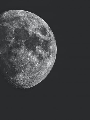 Обои 1668x2224 луна, спутник, черное и белое