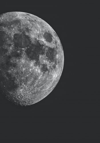 Обои 1668x2388 луна, спутник, черное и белое