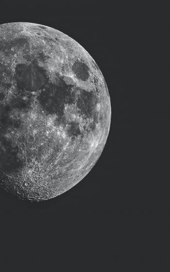 Обои 1752x2800 луна, спутник, черное и белое