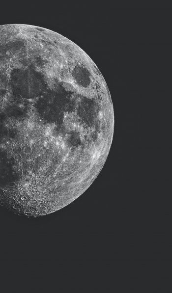Обои 600x1024 луна, спутник, черное и белое