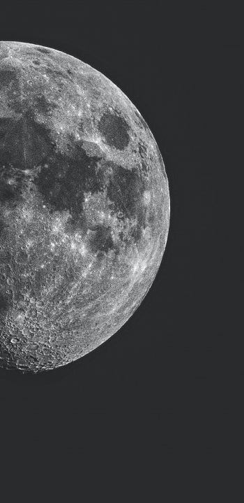 Обои 1440x2960 луна, спутник, черное и белое