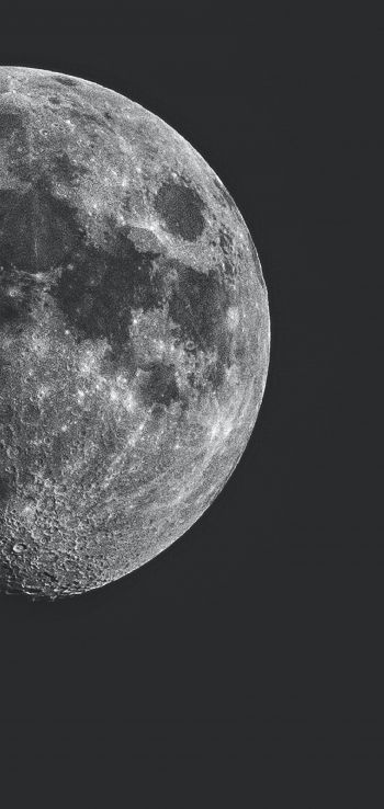 Обои 1080x2280 луна, спутник, черное и белое