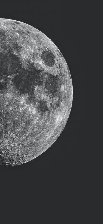 Обои 1242x2688 луна, спутник, черное и белое