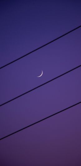 crescent moon, night sky, purple Wallpaper 1440x2960