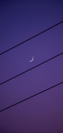 crescent moon, night sky, purple Wallpaper 1440x3040