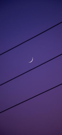 crescent moon, night sky, purple Wallpaper 828x1792