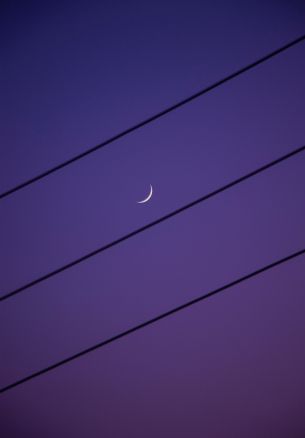 crescent moon, night sky, purple Wallpaper 1640x2360