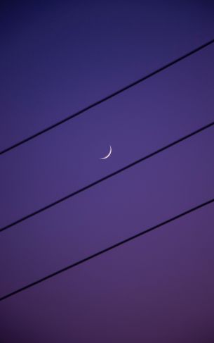crescent moon, night sky, purple Wallpaper 1752x2800