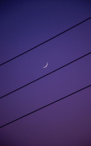 crescent moon, night sky, purple Wallpaper 1600x2560