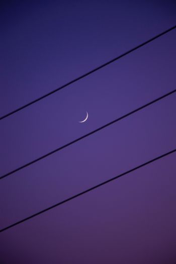 crescent moon, night sky, purple Wallpaper 640x960