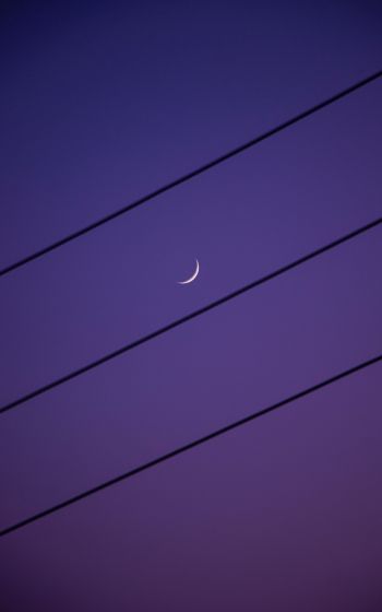 crescent moon, night sky, purple Wallpaper 1600x2560